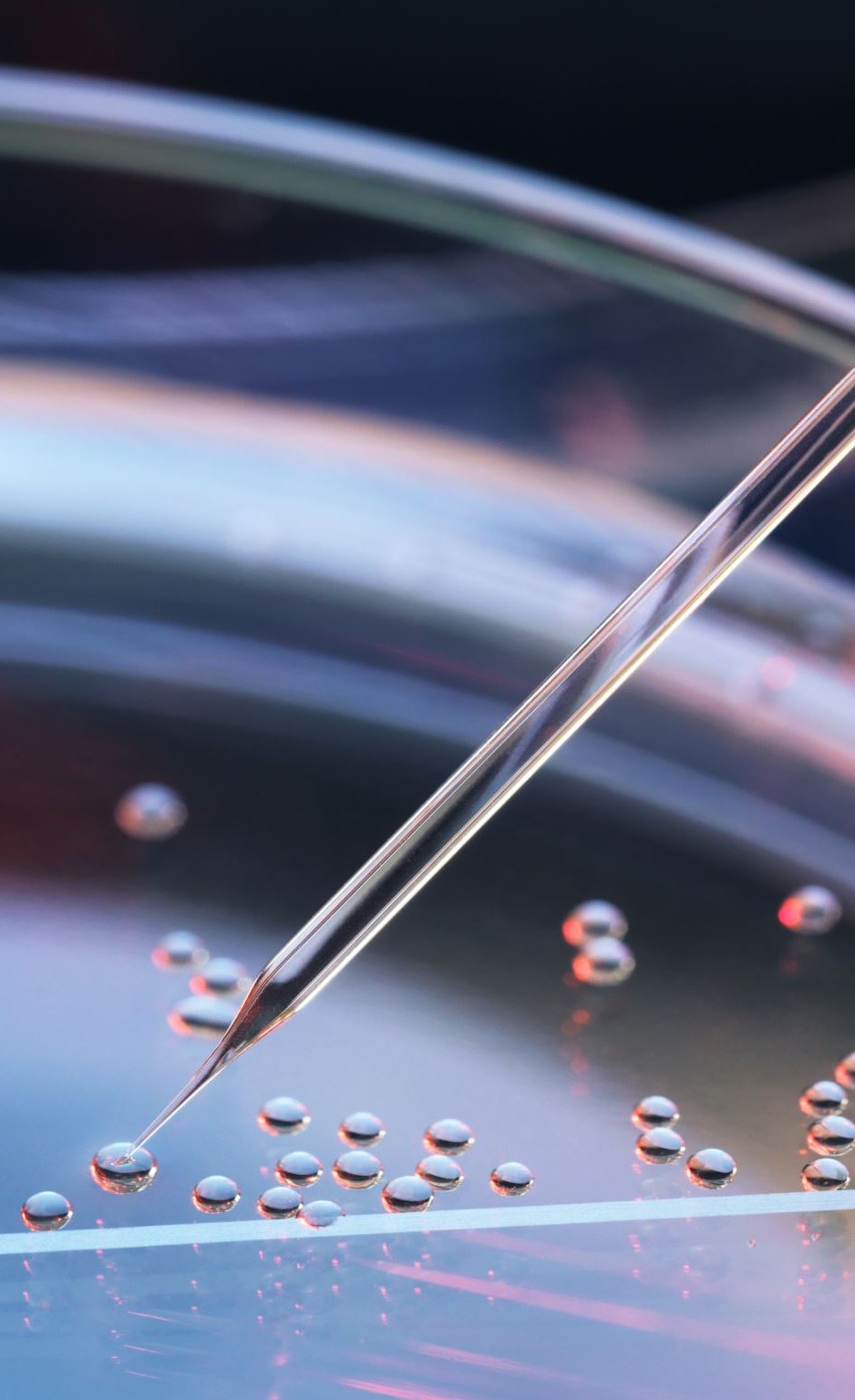A pipette releasing a single droplet onto a plate already scattered with dozens of identical droplets.